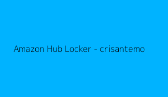 Amazon Hub Locker - crisantemo